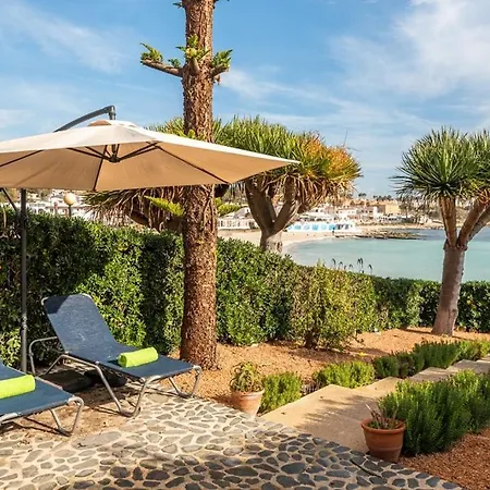 Ca L'avi I S'avia - *